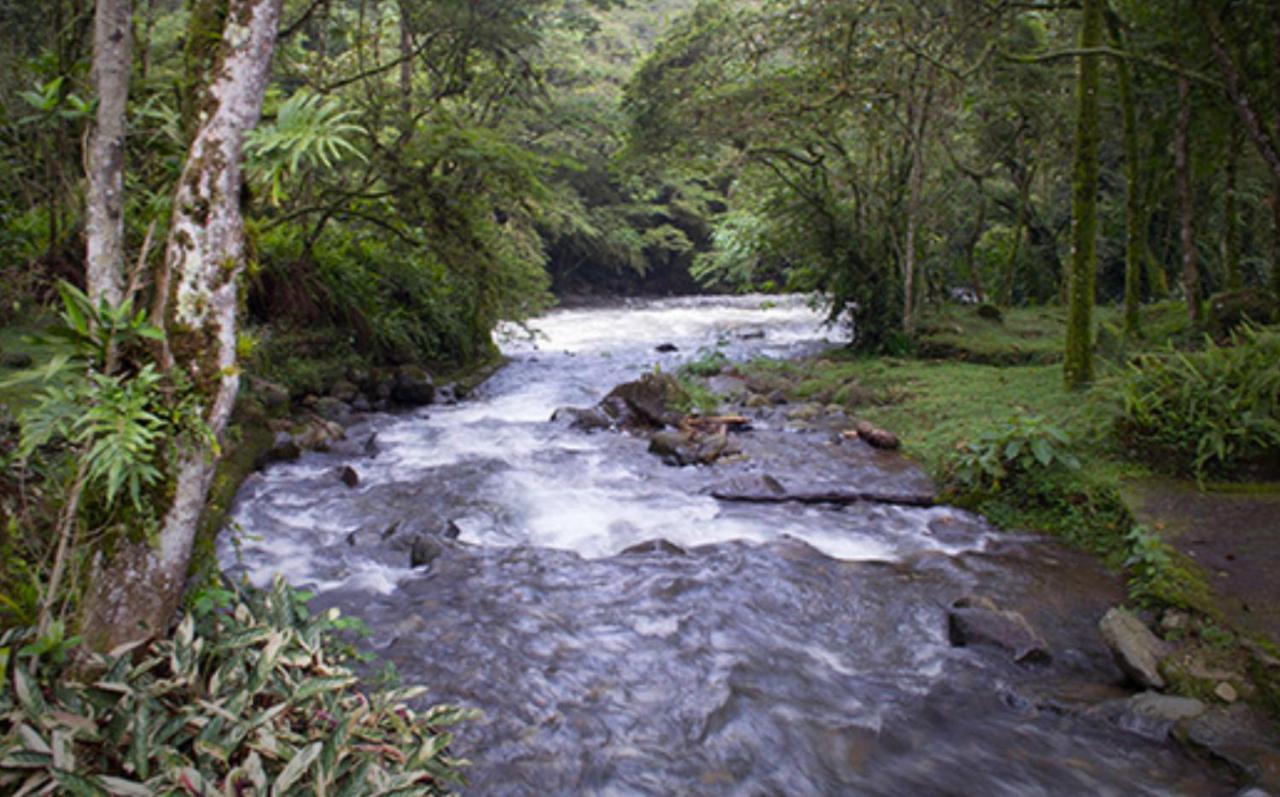 Finca Villa Chalet Del Rio Cali Farm Villa Chalet Cali River Dış mekan fotoğraf